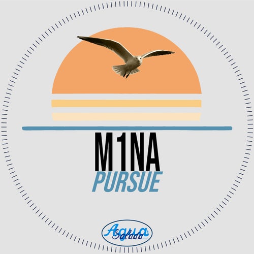 Pursue