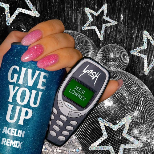 Give You Up (Acelin Extended Mix)