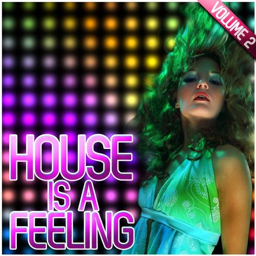 House Is A Feeling Volume 2