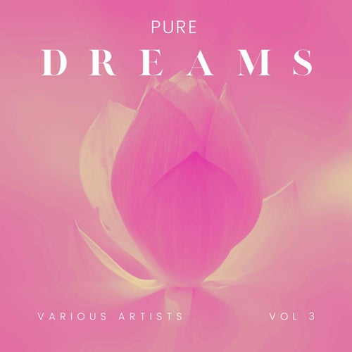 Pure Dreams, Vol. 3
