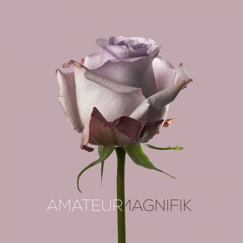 Amateur