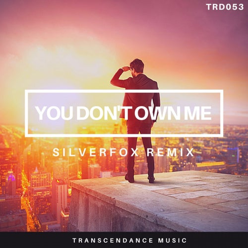 You Don't Own Me (Reloaded)