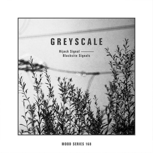 Hijack Signal — Blacksite Signals (2026)