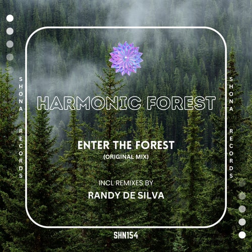 Enter the Forest