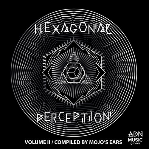 Hexagonal Perception, Vol. 2