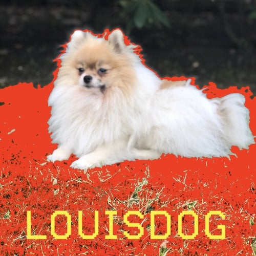 Louisdog Records