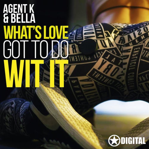 Whats Love Got To Do Wit It