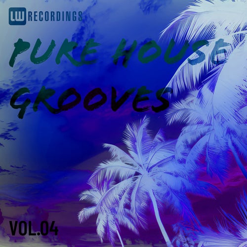 Pure House Grooves, Vol. 04