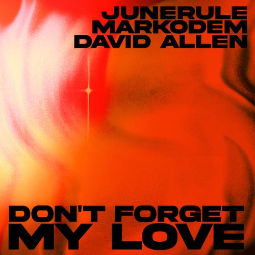 Don't Forget My Love