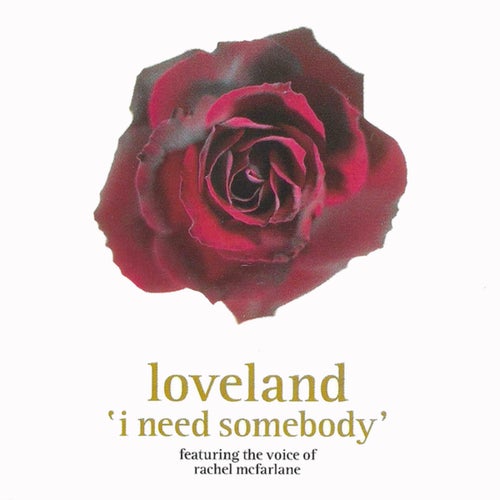 I Need Somebody (feat. Rachel McFarlane)