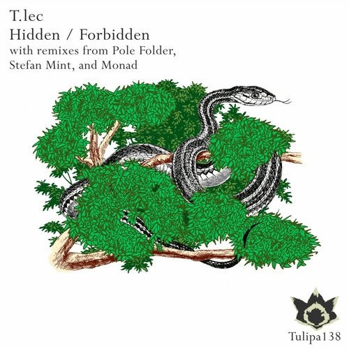 Cover art for Hidden / Forbidden