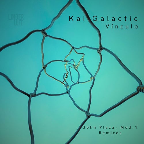 Vínculo