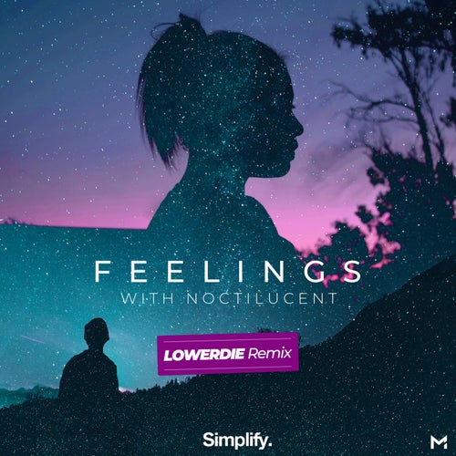 Feelings (LOWERDIE Remix)