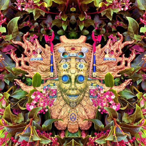 Carnival Of Peculiarities