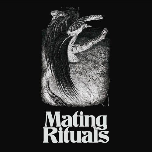 Mating Rituals Recordings