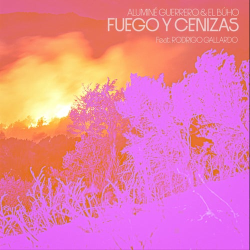 Fuego y Cenizas