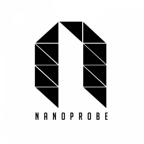 Nanoprobe