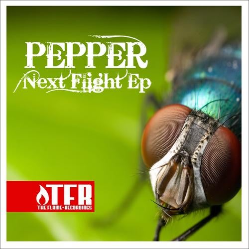 Next Flight EP