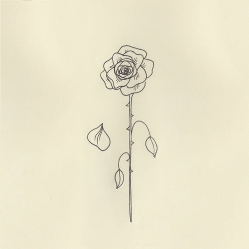 Down / Bruises