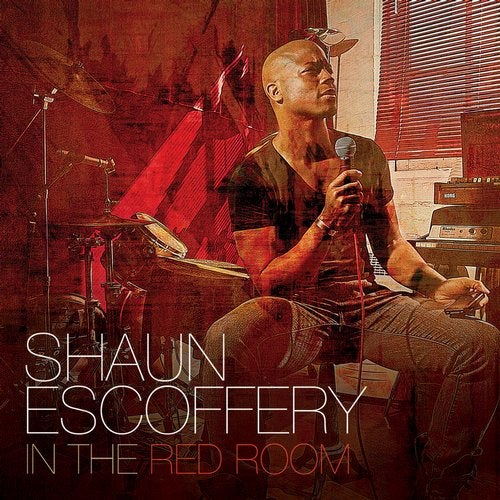 Cover art for In the Red Room