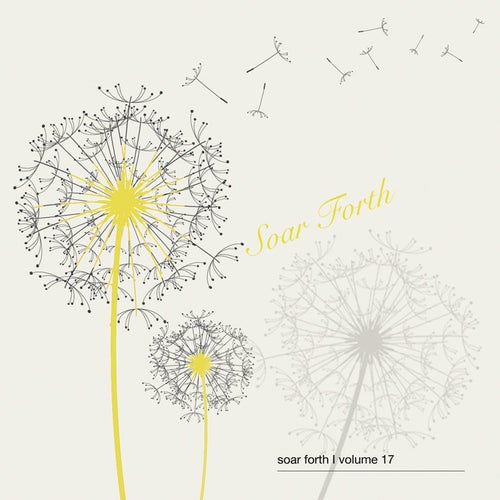 Soar Forth, Vol. 17