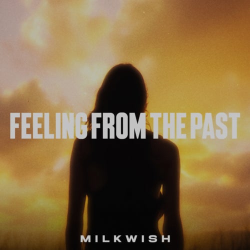 Feeling From The Past (Extended Mix)