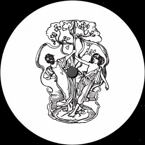 Genesis Vol. II