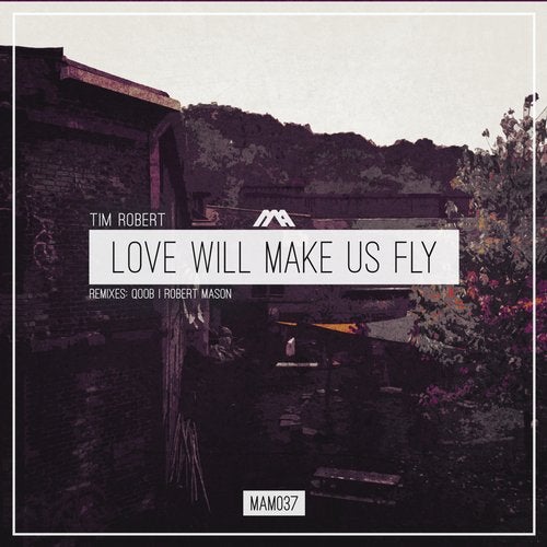 Cover art for Love Will Make Us Fly