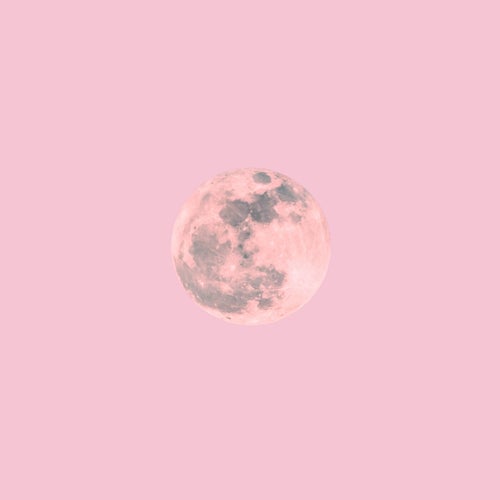 Pink Moon