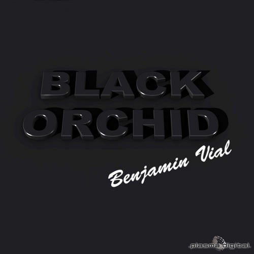 Black Orchid