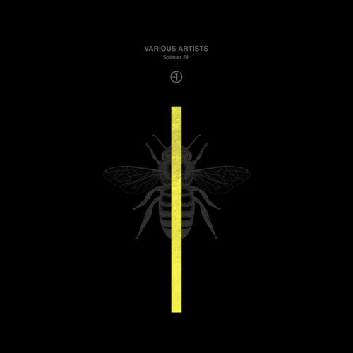 Splinter EP