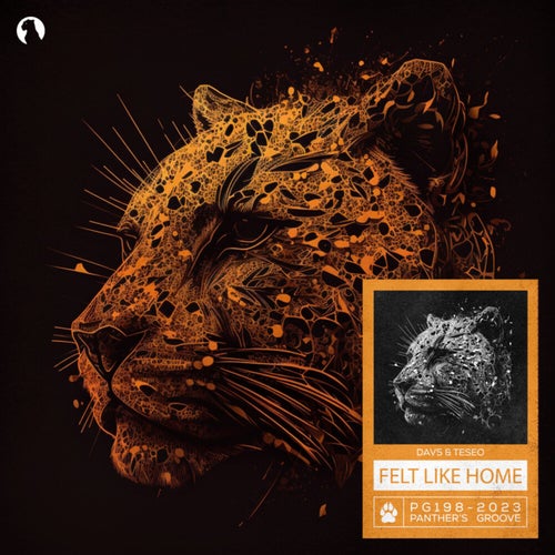 Felt Like Home (Extended Mix)