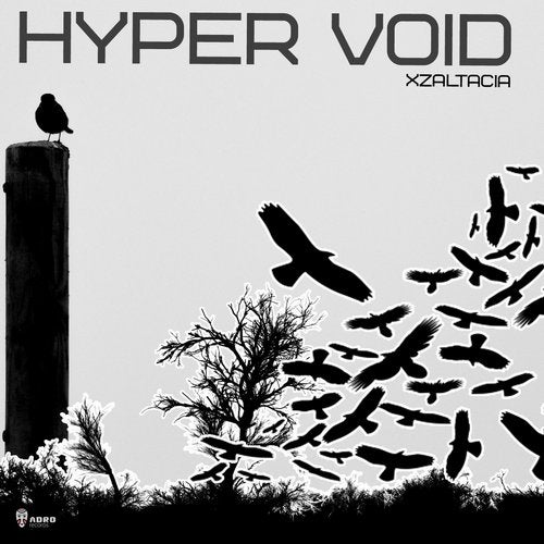 Cover art for Hyper Void