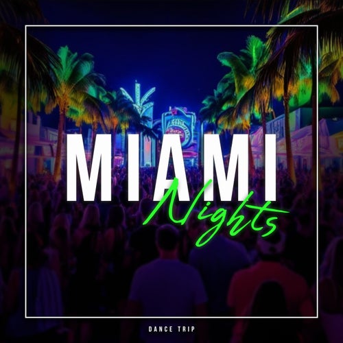 Miami Nights