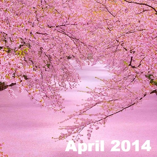 Shinichi Ozaki's April 2014 Chart