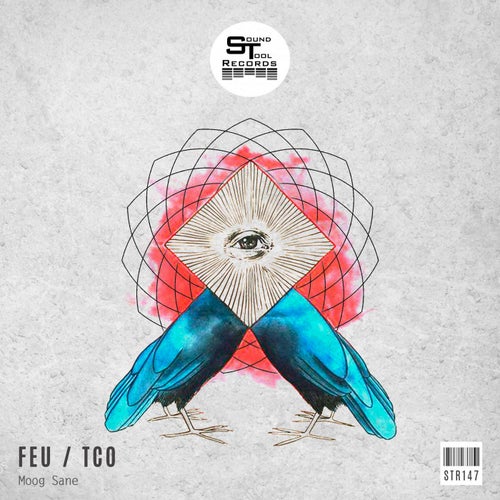 Feu / Tco