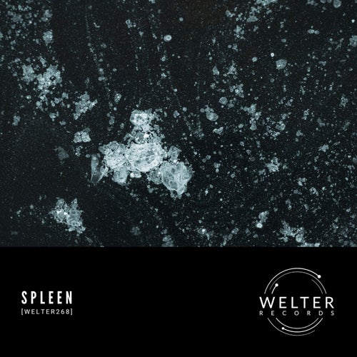 [WELTER268]