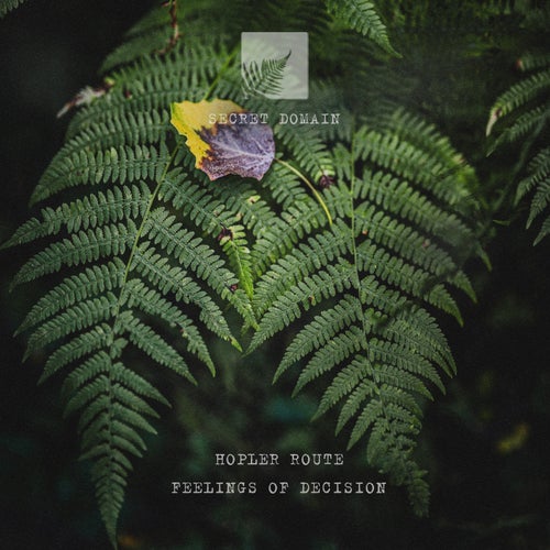 Feelings of Decision