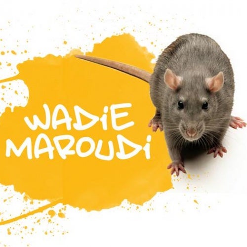 Wadie Maroudi May 2015 Chart