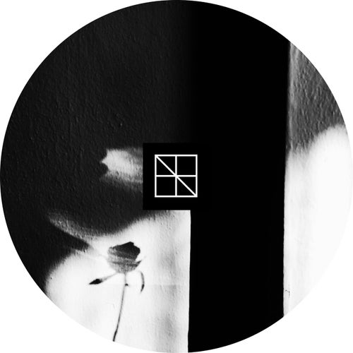 404 Dreams