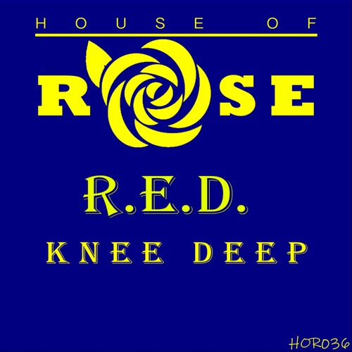 Knee Deep