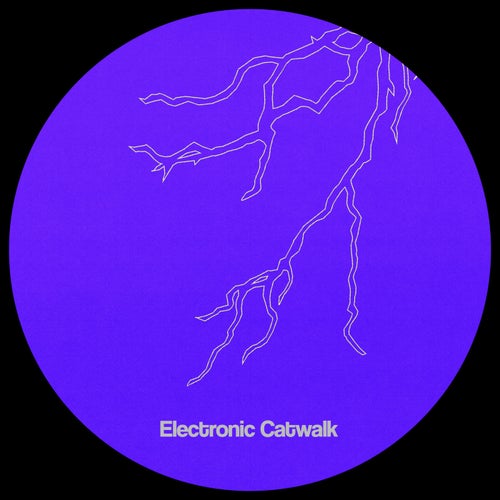 Electronic Catwalk