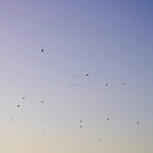 LUH Remixes