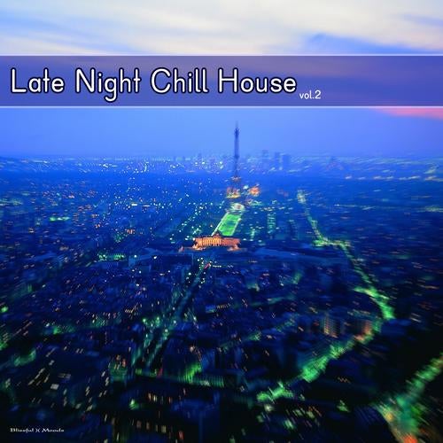 Late Night Chill House Vol.2