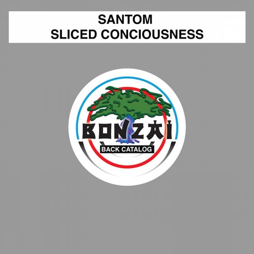 Sliced Conciousness