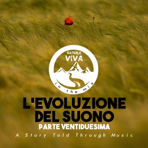 L'Evoluzione del Suono - Parte Ventiduesima