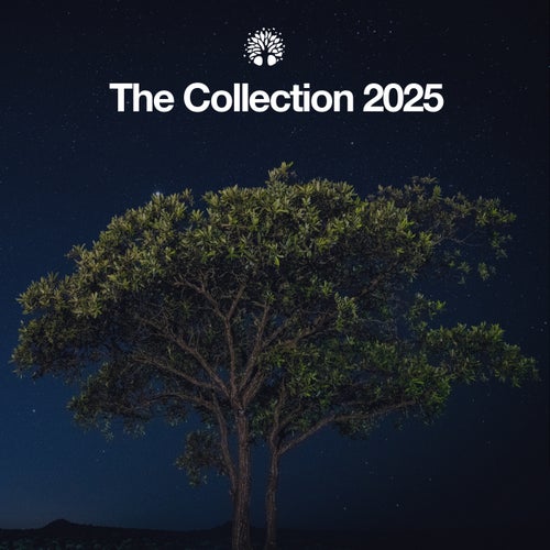 The Collection 2025