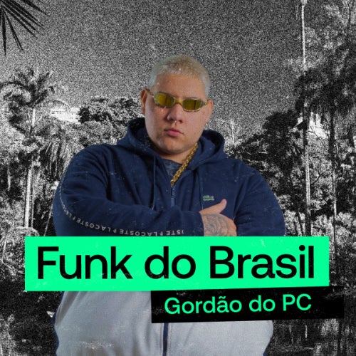 Funk do Brasil: GORDÃO DO PC