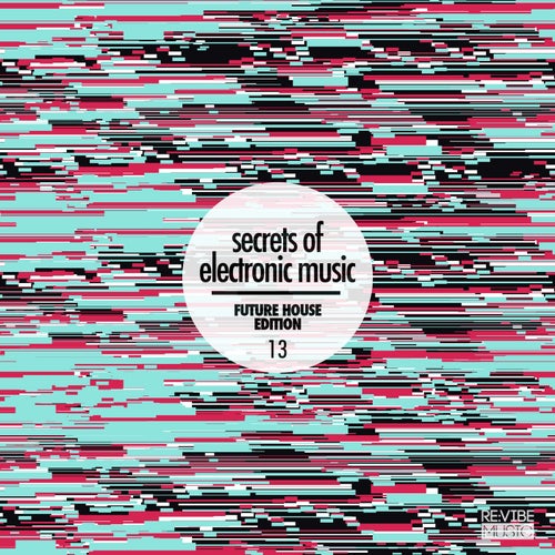 Cover art for Secrets of Electronic Music - Future House Edition #13
