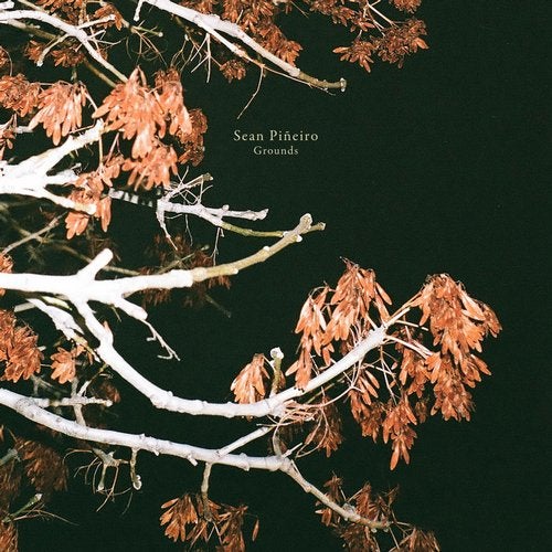 Cover art for Grounds
